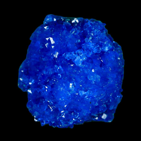 1.9" Electric Blue Chalcanthite Mineral Crystal Specimen Location Poland Sokolowski - Fossil Age Minerals