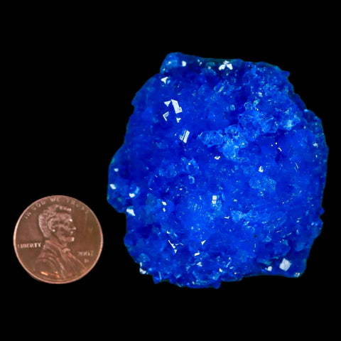 1.9" Electric Blue Chalcanthite Mineral Crystal Specimen Location Poland Sokolowski - Fossil Age Minerals