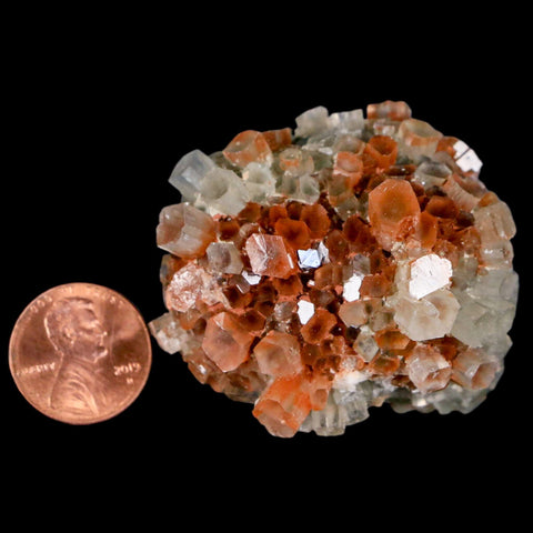 1.8" Aragonite Mineral Two Tone Crystal Cluster Specimen Tazouta Morocco