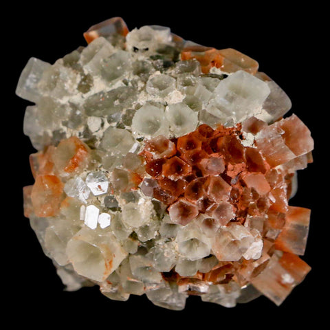 1.8" Aragonite Mineral Two Tone Crystal Cluster Specimen Tazouta Morocco