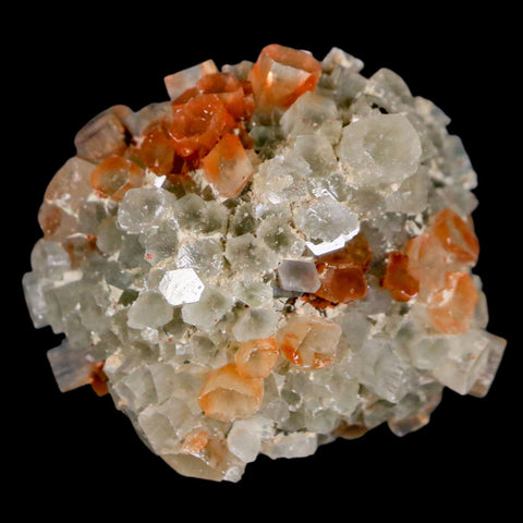 1.8" Aragonite Mineral Two Tone Crystal Cluster Specimen Tazouta Morocco