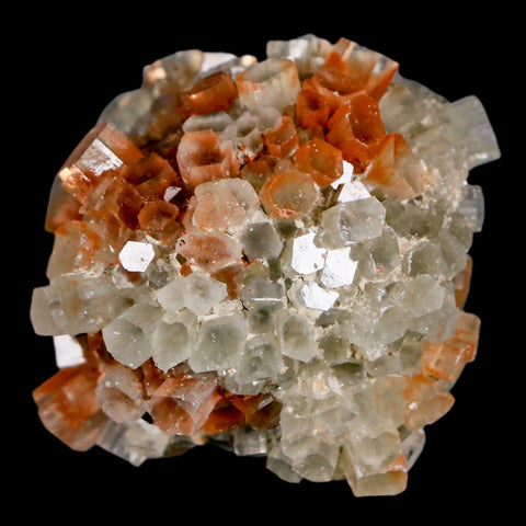 1.8" Aragonite Mineral Two Tone Crystal Cluster Specimen Tazouta Morocco