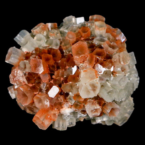 1.8" Aragonite Mineral Two Tone Crystal Cluster Specimen Tazouta Morocco