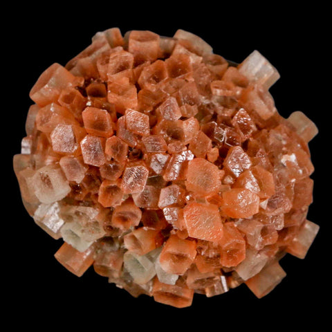 2" Aragonite Mineral Two Tone Crystal Cluster Specimen Tazouta Morocco