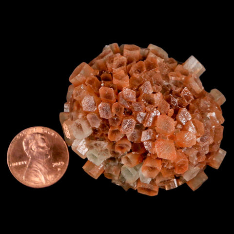 2" Aragonite Mineral Two Tone Crystal Cluster Specimen Tazouta Morocco