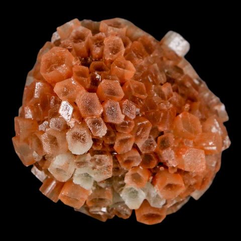 2" Aragonite Mineral Two Tone Crystal Cluster Specimen Tazouta Morocco