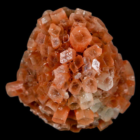 2" Aragonite Mineral Two Tone Crystal Cluster Specimen Tazouta Morocco