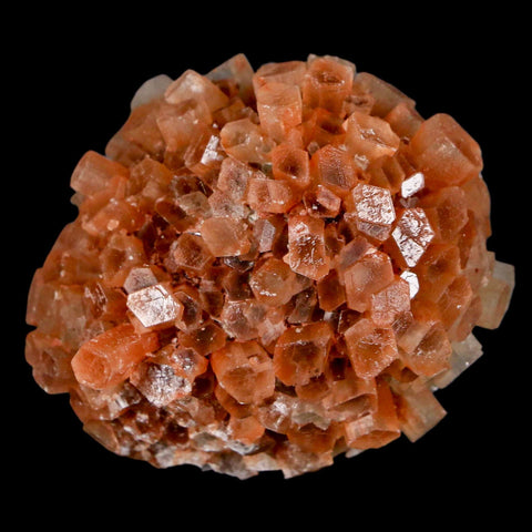 2" Aragonite Mineral Two Tone Crystal Cluster Specimen Tazouta Morocco