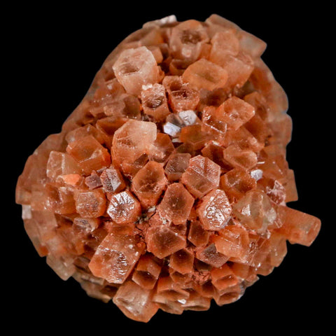 2" Aragonite Mineral Two Tone Crystal Cluster Specimen Tazouta Morocco