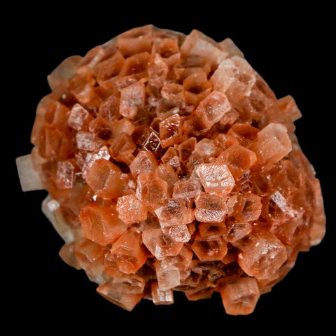 2" Aragonite Mineral Two Tone Crystal Cluster Specimen Tazouta Morocco