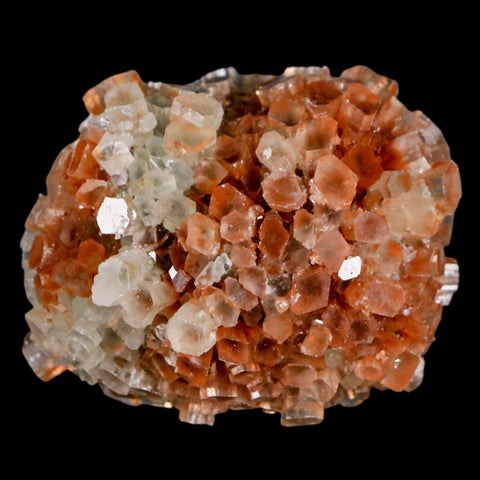 1.9" Aragonite Mineral Two Tone Crystal Cluster Specimen Tazouta Morocco