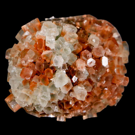 1.9" Aragonite Mineral Two Tone Crystal Cluster Specimen Tazouta Morocco