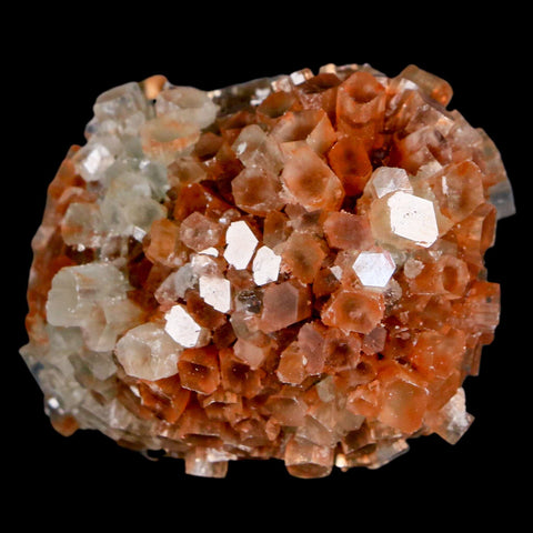 1.9" Aragonite Mineral Two Tone Crystal Cluster Specimen Tazouta Morocco