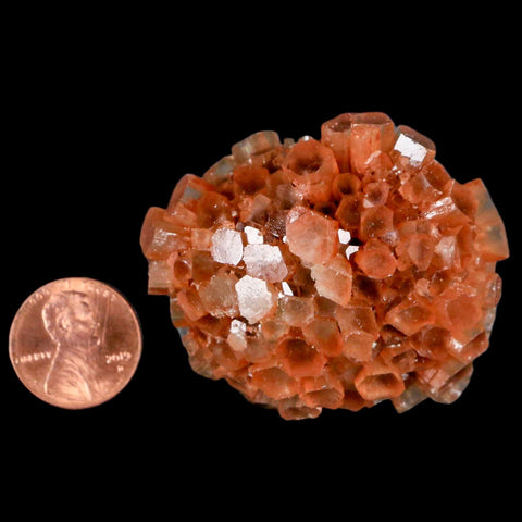 2.1" Aragonite Mineral Two Tone Crystal Cluster Specimen Tazouta Morocco