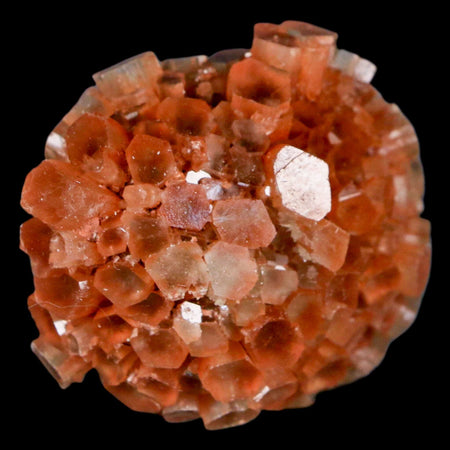 2.1" Aragonite Mineral Two Tone Crystal Cluster Specimen Tazouta Morocco