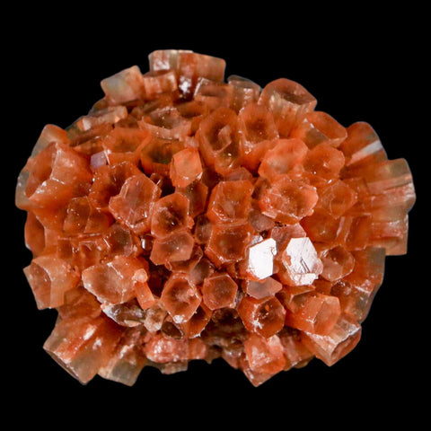 2.1" Aragonite Mineral Two Tone Crystal Cluster Specimen Tazouta Morocco