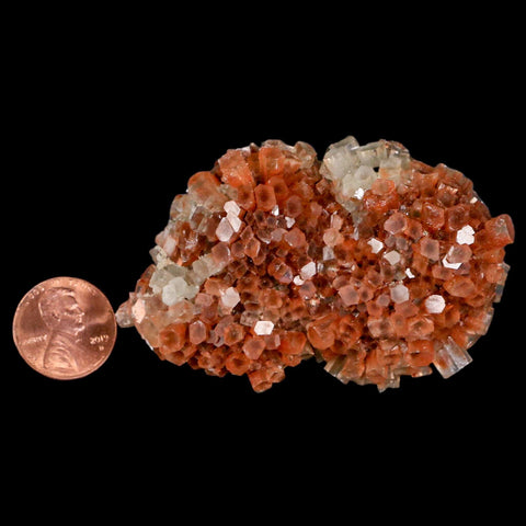 2.8" Aragonite Mineral Two Tone Crystal Cluster Specimen Tazouta Morocco