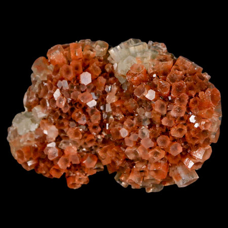 2.8" Aragonite Mineral Two Tone Crystal Cluster Specimen Tazouta Morocco