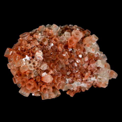 2.8" Aragonite Mineral Two Tone Crystal Cluster Specimen Tazouta Morocco