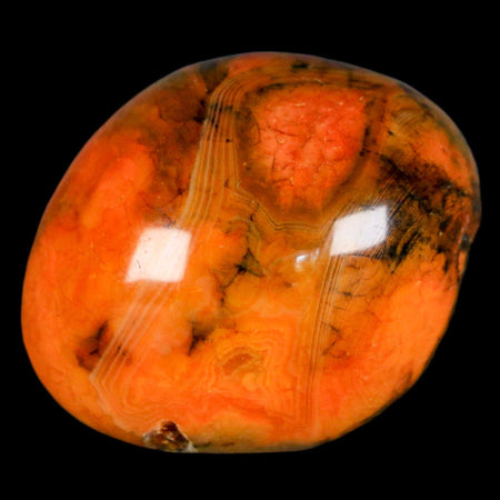 1.6" Polished Yellow Orange Silk Banded Agate Chalcedony Mineral Palm Stone