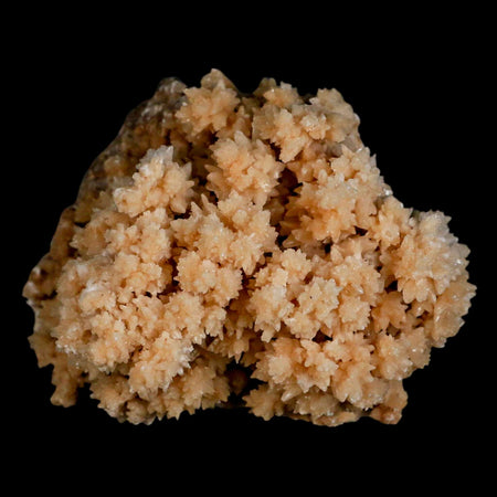 3.7" Botryoidal Aragonite Cave Calcite Crystal Cluster Mineral Specimen Morocco