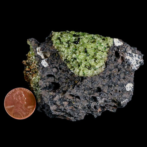 2.8" Emerald Peridot Crystals, Chrome Diopside And Spinel On Volcanic Rock Gila, AZ - Fossil Age Minerals