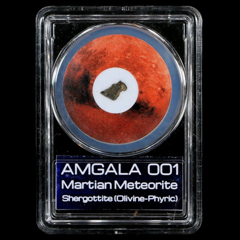 Mars Rock Martian Meteorite Amgala 001 Shergottite Olivine-Phyric COA And Display - Fossil Age Minerals