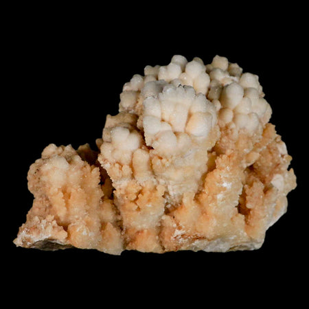 4.7" Botryoidal Aragonite Cave Calcite Crystal Cluster Mineral Specimen Morocco