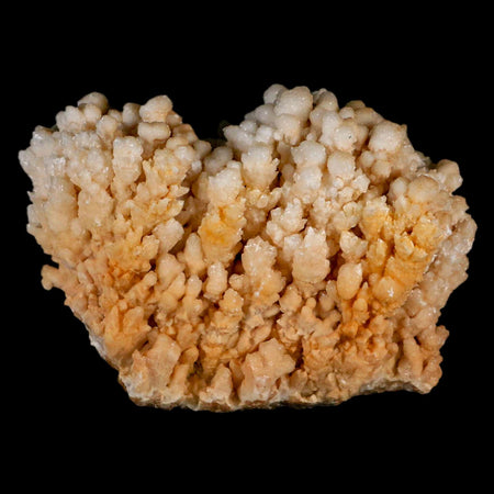 4.3" Botryoidal Aragonite Cave Calcite Crystal Cluster Mineral Specimen Morocco