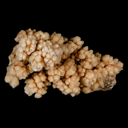 5.7" Botryoidal Aragonite Cave Calcite Crystal Cluster Mineral Specimen Morocco