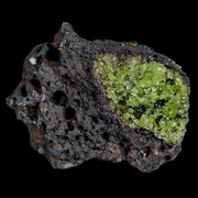 2.9" Emerald Peridot Crystals, Chrome Diopside And Spinel On Volcanic Rock Gila, AZ