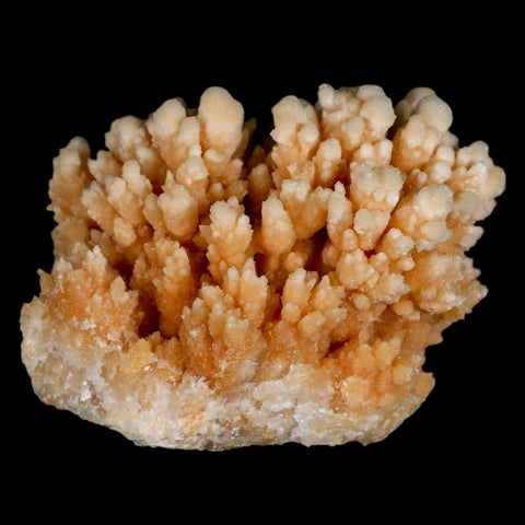 3.6" Botryoidal Aragonite Cave Calcite Crystal Cluster Mineral Specimen Morocco