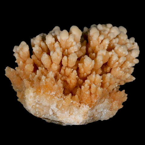 3.6" Botryoidal Aragonite Cave Calcite Crystal Cluster Mineral Specimen Morocco