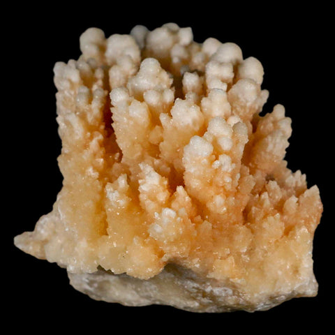 3.6" Botryoidal Aragonite Cave Calcite Crystal Cluster Mineral Specimen Morocco