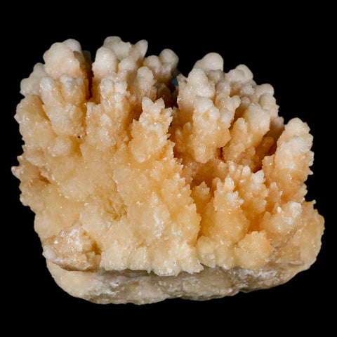 3.6" Botryoidal Aragonite Cave Calcite Crystal Cluster Mineral Specimen Morocco