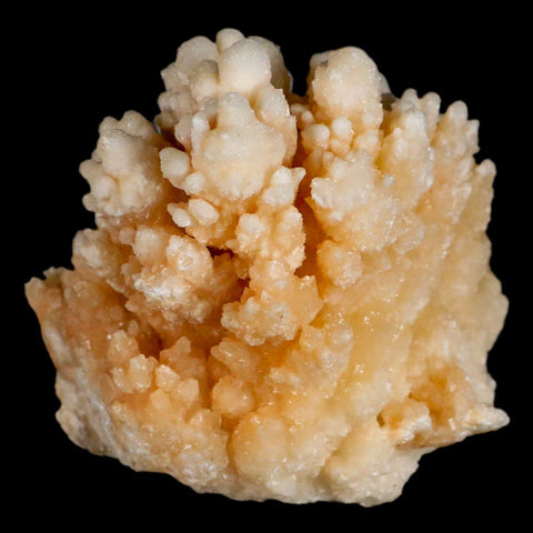 3.6" Botryoidal Aragonite Cave Calcite Crystal Cluster Mineral Specimen Morocco