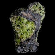 2.8" Emerald Peridot Crystals, Chrome Diopside And Spinel On Volcanic Rock Gila, AZ