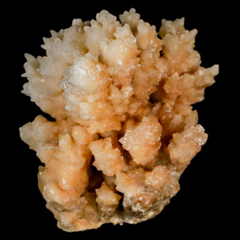 2.6" Botryoidal Aragonite Cave Calcite Crystal Cluster Mineral Specimen Morocco