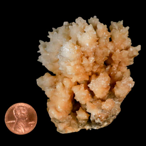 2.6" Botryoidal Aragonite Cave Calcite Crystal Cluster Mineral Specimen Morocco