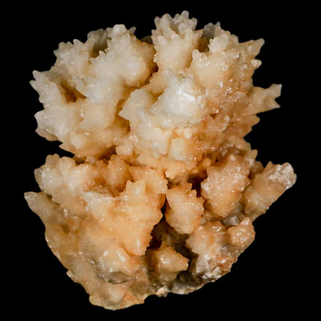 2.6" Botryoidal Aragonite Cave Calcite Crystal Cluster Mineral Specimen Morocco