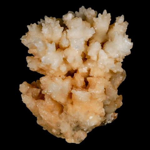 2.6" Botryoidal Aragonite Cave Calcite Crystal Cluster Mineral Specimen Morocco