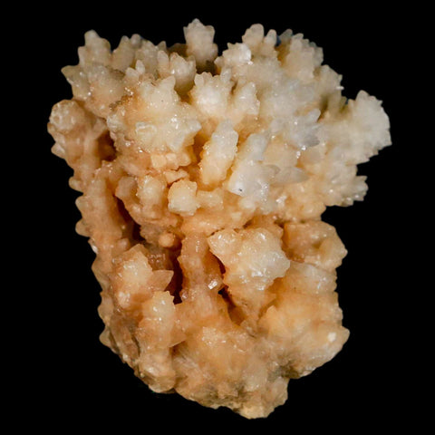 2.6" Botryoidal Aragonite Cave Calcite Crystal Cluster Mineral Specimen Morocco