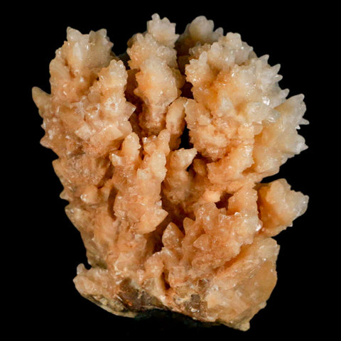 2.6" Botryoidal Aragonite Cave Calcite Crystal Cluster Mineral Specimen Morocco