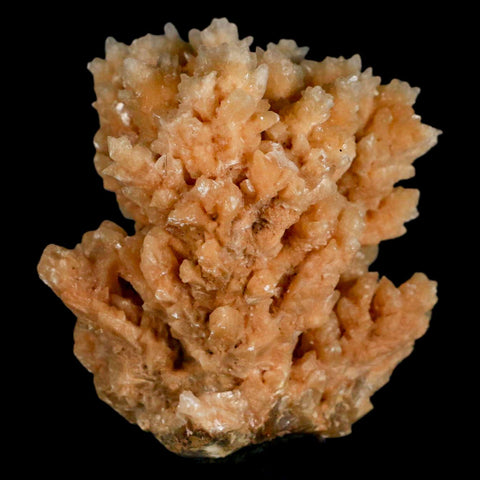 2.6" Botryoidal Aragonite Cave Calcite Crystal Cluster Mineral Specimen Morocco