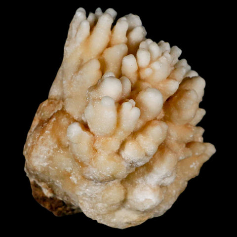 3.2" Botryoidal Aragonite Cave Calcite Crystal Cluster Mineral Specimen Morocco