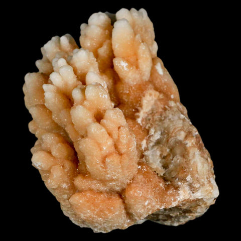 3.2" Botryoidal Aragonite Cave Calcite Crystal Cluster Mineral Specimen Morocco