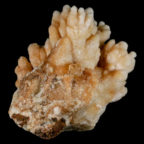 3.2" Botryoidal Aragonite Cave Calcite Crystal Cluster Mineral Specimen Morocco