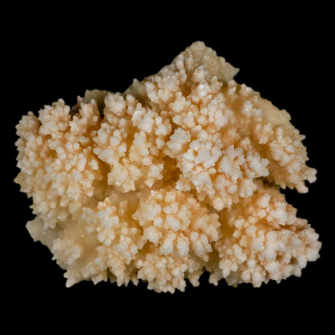 3.7" Botryoidal Aragonite Cave Calcite Crystal Cluster Mineral Specimen Morocco