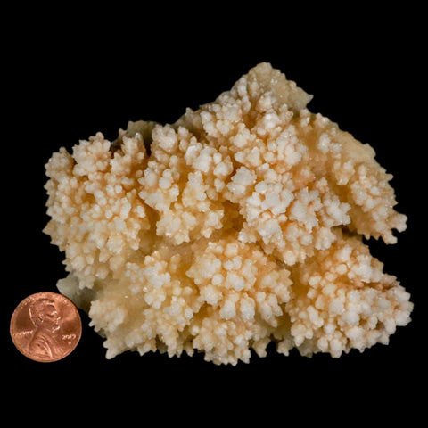 3.7" Botryoidal Aragonite Cave Calcite Crystal Cluster Mineral Specimen Morocco