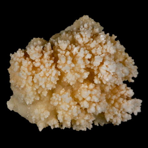 3.7" Botryoidal Aragonite Cave Calcite Crystal Cluster Mineral Specimen Morocco